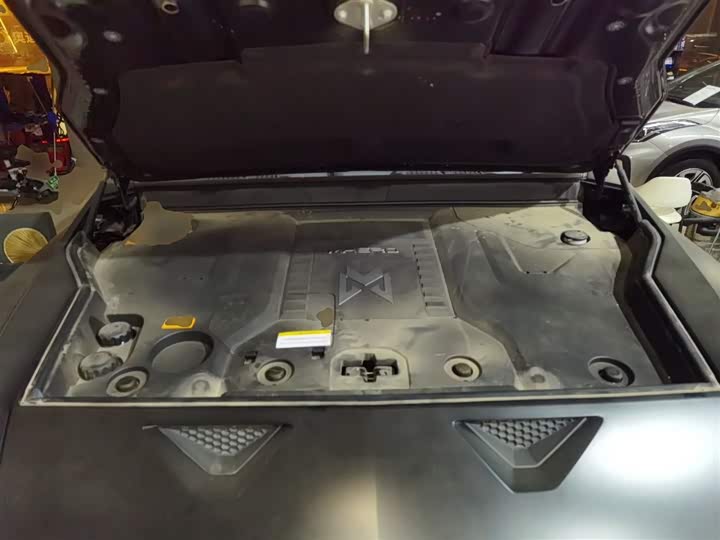 Dongfeng Mengshi M-Hero 917 2023 2023款 纯电基础版