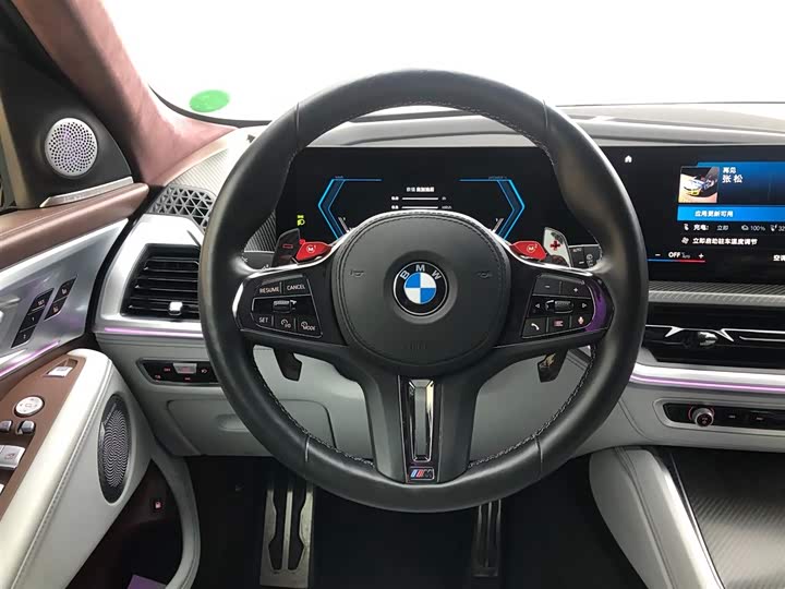 BMW XM 2023 2023款 基本型
