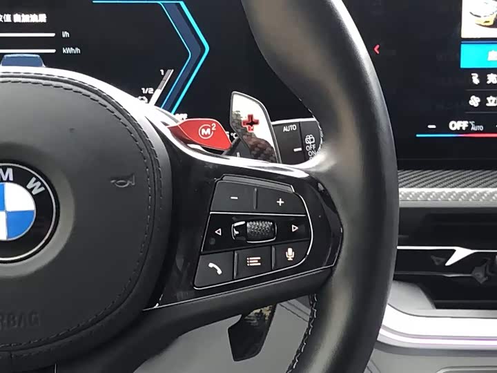 BMW XM 2023 2023款 基本型