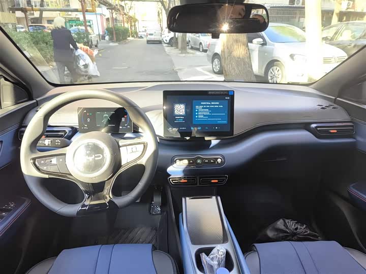 BYD Seagull 2025 2025款 智驾版 305km 活力版