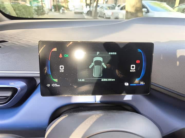 BYD Seagull 2025 2025款 智驾版 305km 活力版