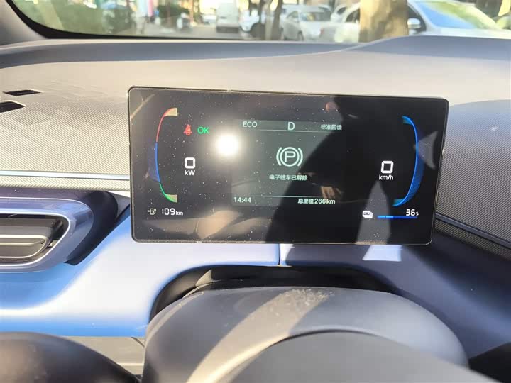 BYD Seagull 2025 2025款 智驾版 305km 活力版