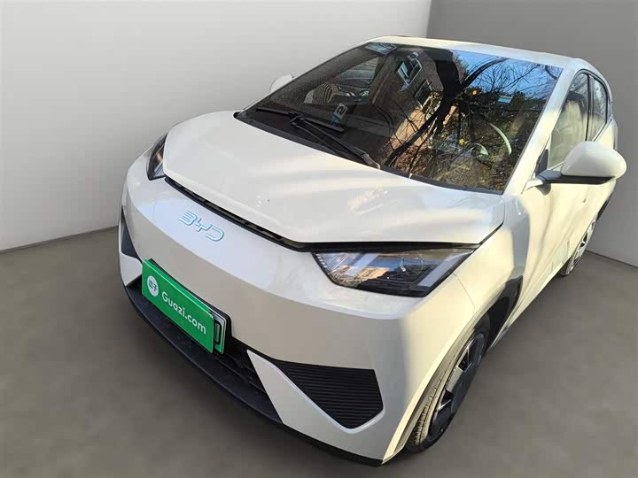 BYD Seagull 2025 2025款 智驾版 305km 活力版