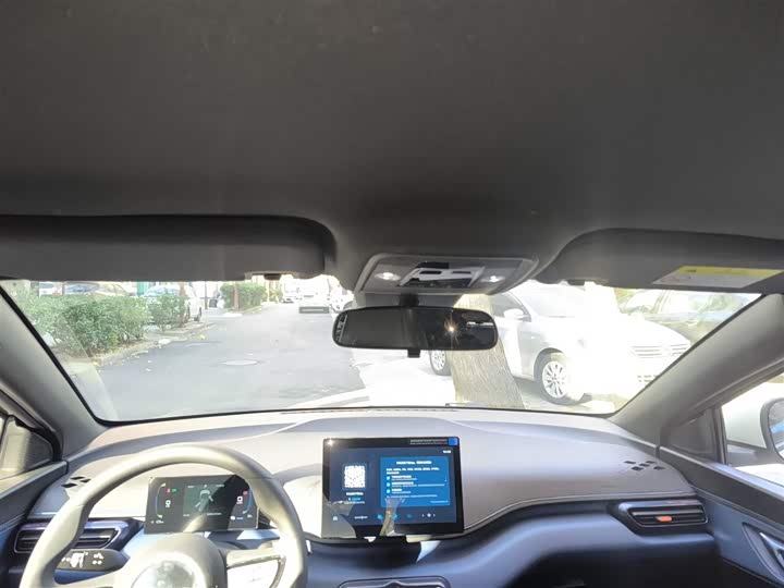 BYD Seagull 2025 2025款 智驾版 305km 活力版