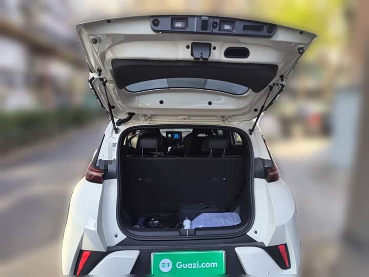 BYD Seagull 2025 2025款 智驾版 305km 活力版