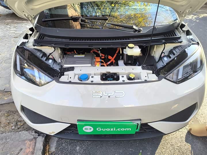 BYD Seagull 2025 2025款 智驾版 305km 活力版