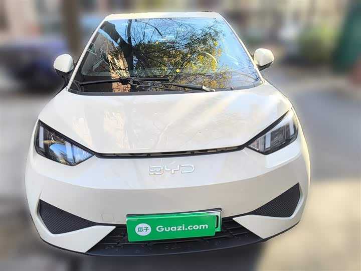 BYD Seagull 2025 2025款 智驾版 305km 活力版