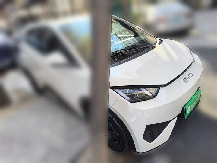 BYD Seagull 2025 2025款 智驾版 305km 活力版