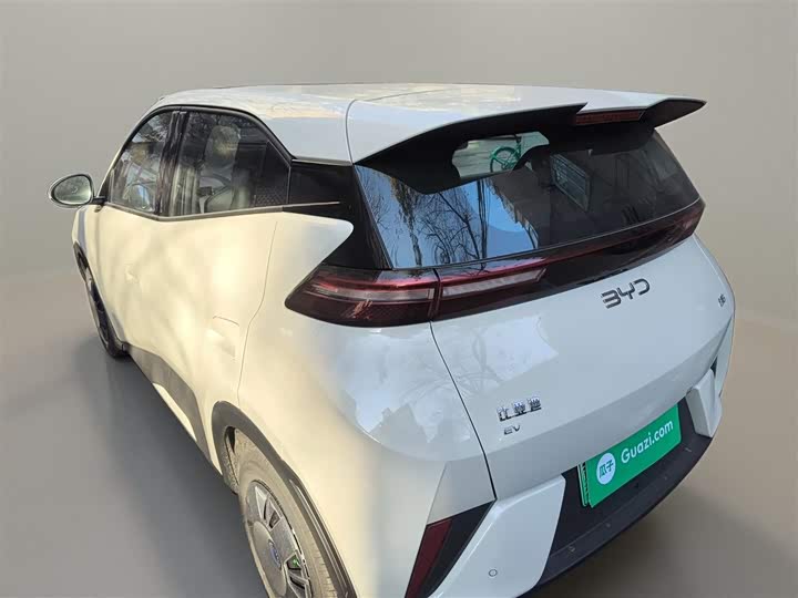 BYD Seagull 2025 2025款 智驾版 305km 活力版