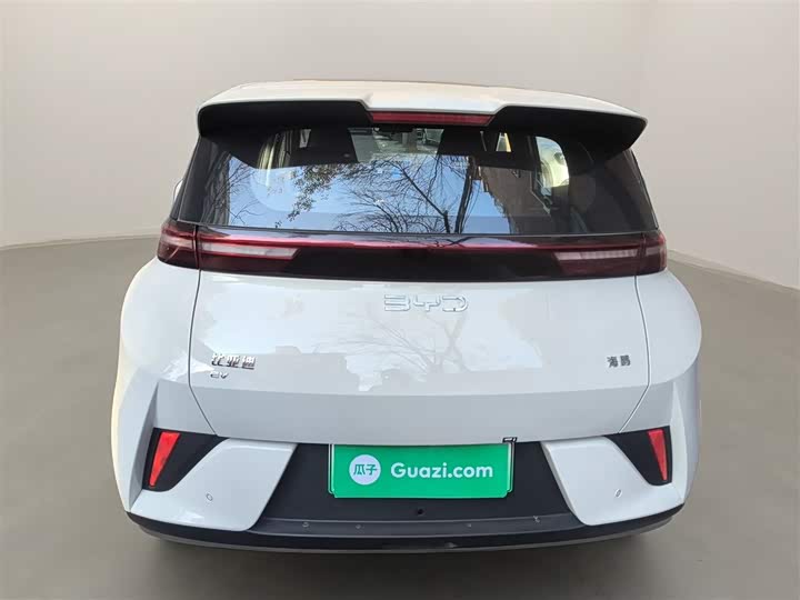 BYD Seagull 2025 2025款 智驾版 305km 活力版