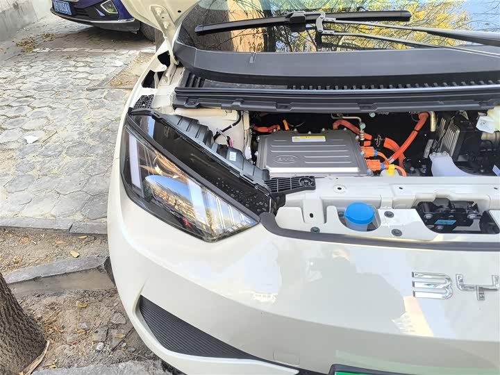 BYD Seagull 2025 2025款 智驾版 305km 活力版