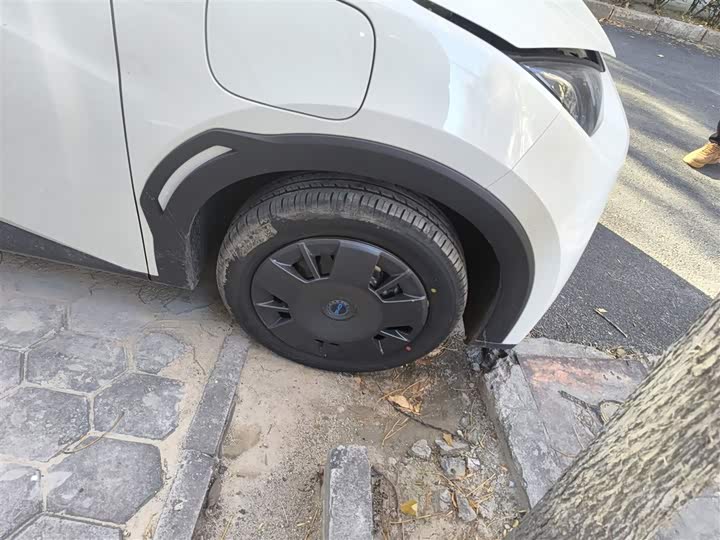 BYD Seagull 2025 2025款 智驾版 305km 活力版