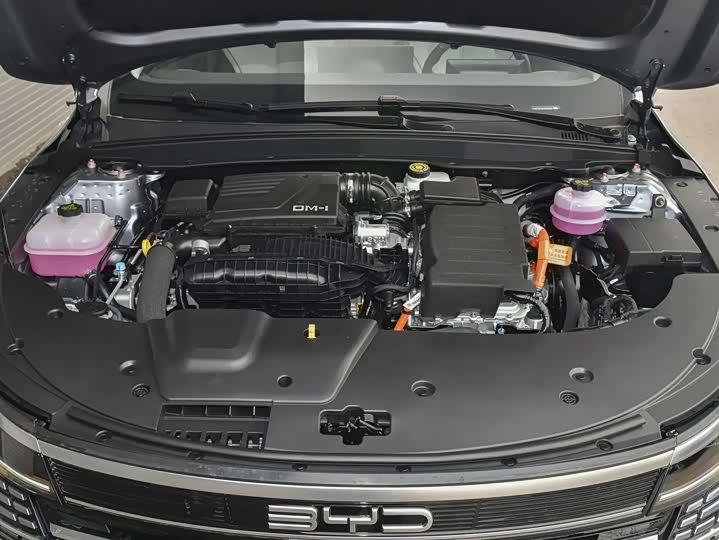 BYD Destroyer 05 2024 2024款 荣耀版 DM-i 55KM 豪华型