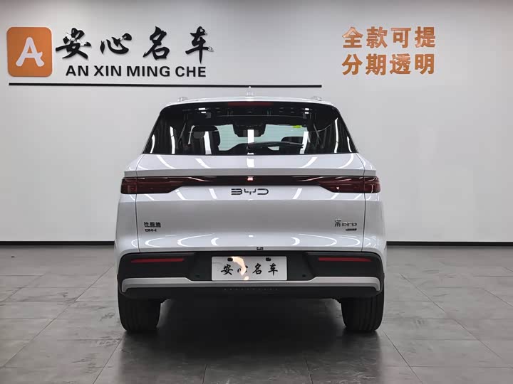 BYD Song Pro Hybrid 2025 2025款 第二代 智驾版 DM-i 115KM超越型