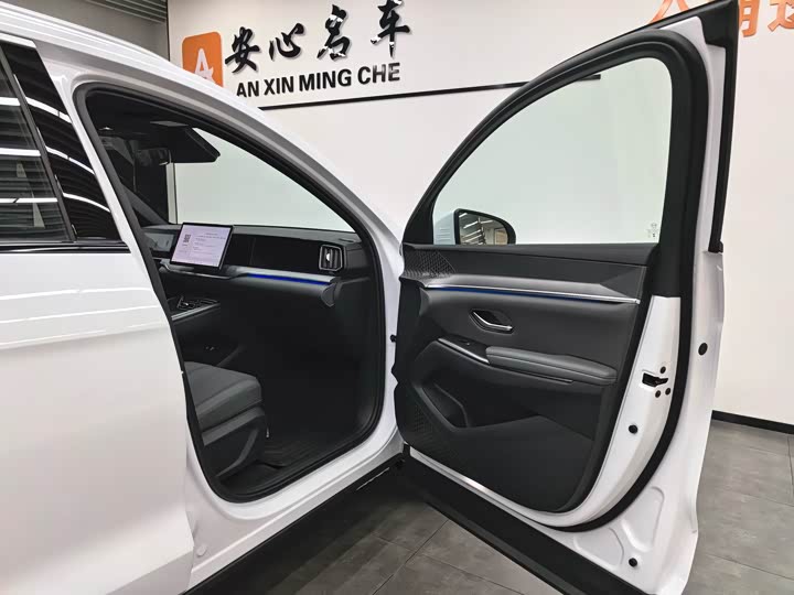 BYD Song Pro Hybrid 2025 2025款 第二代 智驾版 DM-i 115KM超越型
