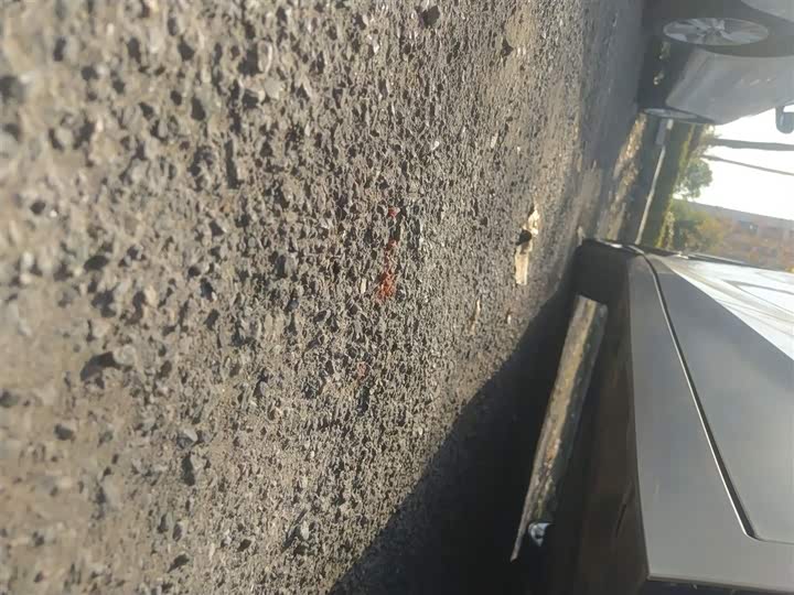 GAC Aion S Max 2024 2024款 80 星耀版 三元锂