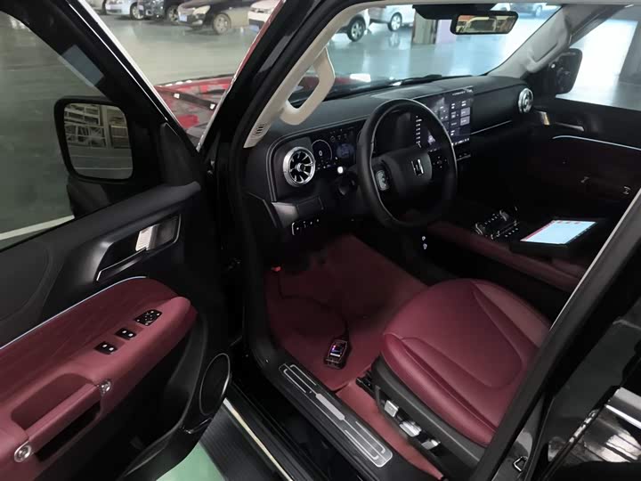 Tank 300 Hybrid 2025 2025款 Hi4-T 37.1kWh