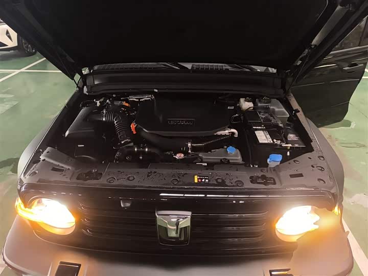 Tank 300 Hybrid 2025 2025款 Hi4-T 37.1kWh