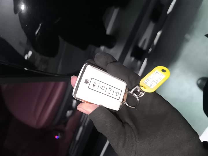 Tank 300 Hybrid 2025 2025款 Hi4-T 37.1kWh