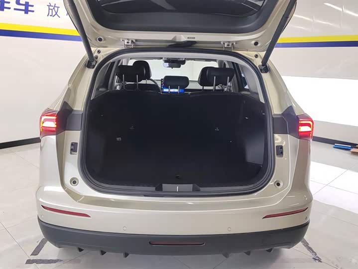 Haval H6 2024 2024款 1.5T 两驱Max