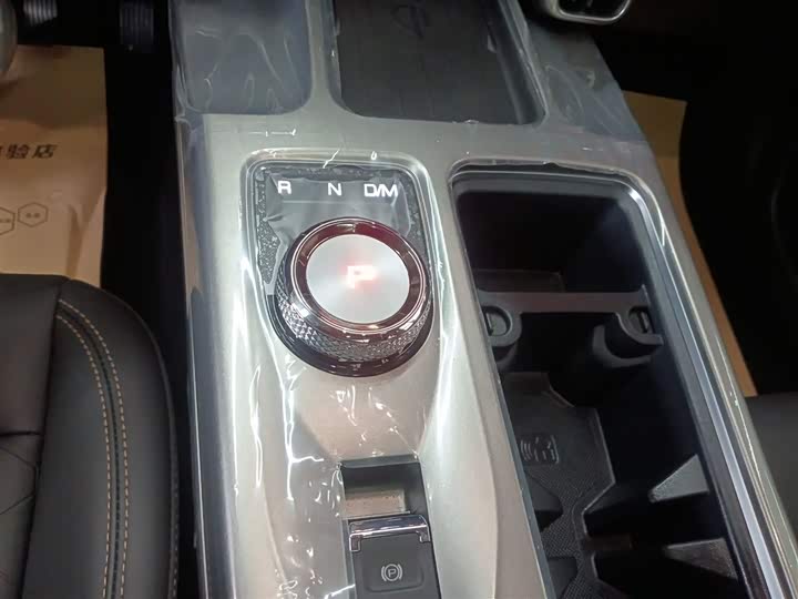 Haval Dargo 2024 2024款 2.0T DCT中华田园犬版