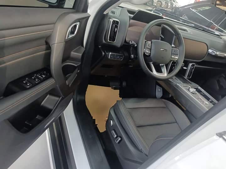 Haval Dargo 2024 2024款 2.0T DCT中华田园犬版