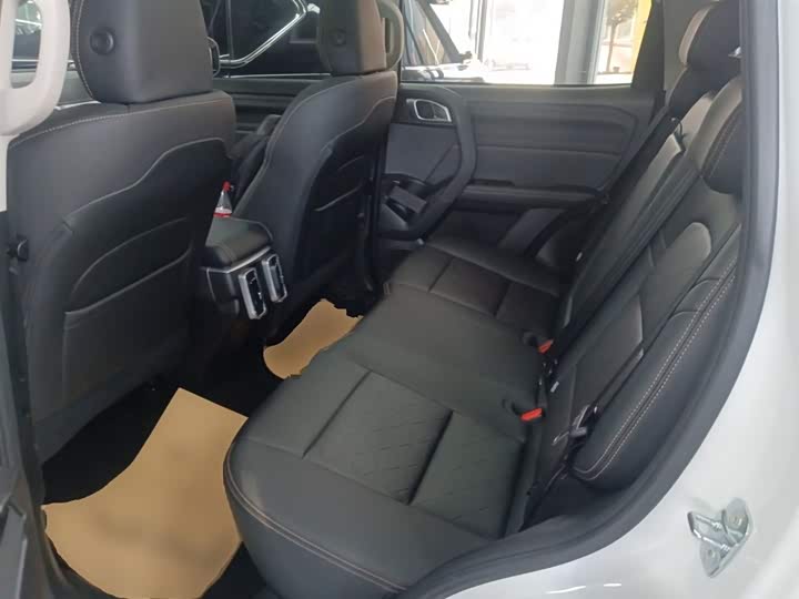 Haval Dargo 2024 2024款 2.0T DCT中华田园犬版