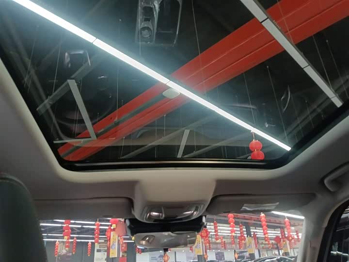 Haval Dargo 2024 2024款 2.0T DCT中华田园犬版