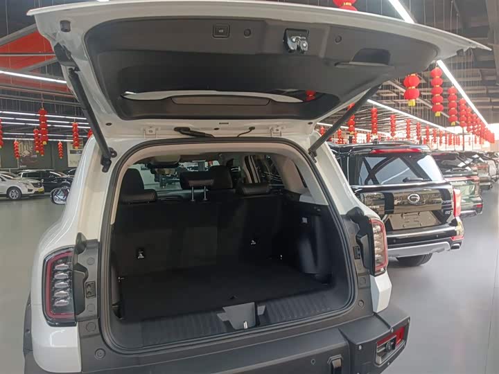 Haval Dargo 2024 2024款 2.0T DCT中华田园犬版