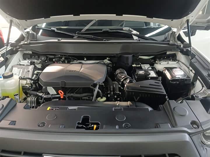 Haval Dargo 2024 2024款 2.0T DCT中华田园犬版