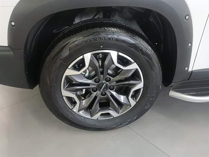 Haval Dargo 2024 2024款 2.0T DCT中华田园犬版