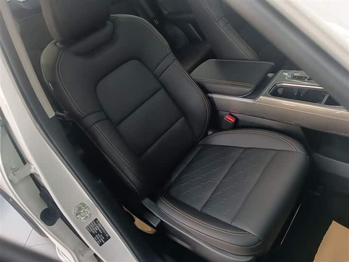 Haval Dargo 2024 2024款 2.0T DCT中华田园犬版