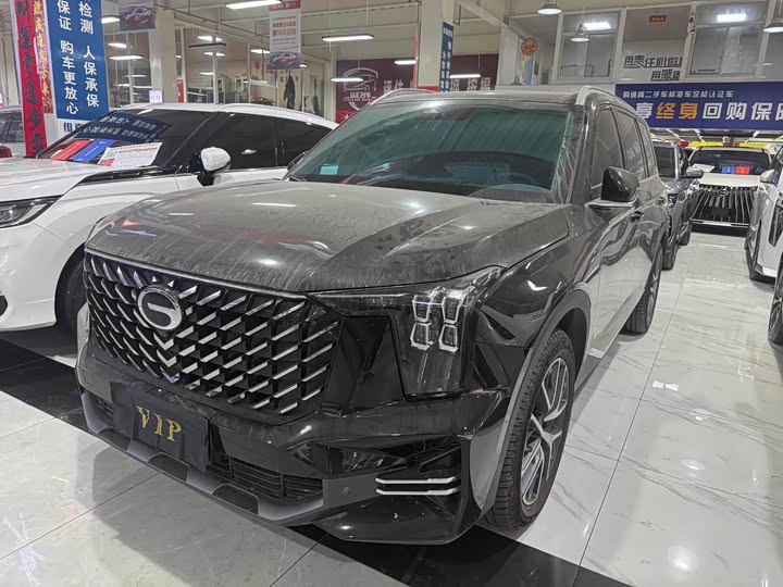 GAC Trumpchi GS8 2024 2024款 领航系列 2.0TGDI 两驱豪华智联版
