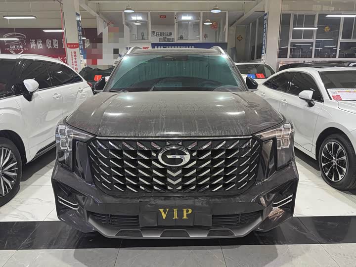 GAC Trumpchi GS8 2024 2024款 领航系列 2.0TGDI 两驱豪华智联版