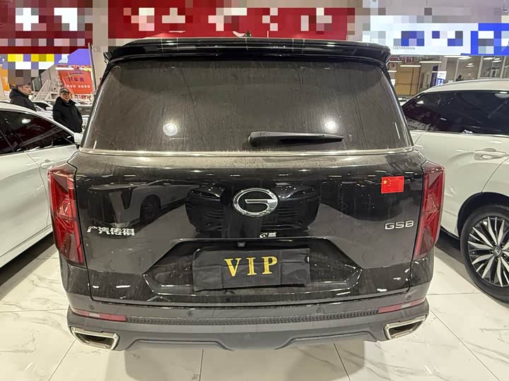 GAC Trumpchi GS8 2024 2024款 领航系列 2.0TGDI 两驱豪华智联版