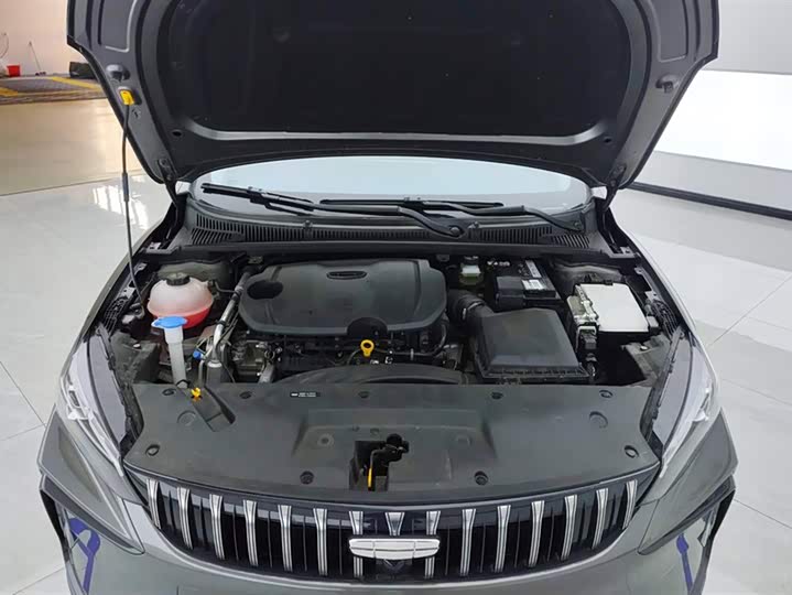 Geely Binrui 2024 2024款 缤瑞COOL 1.5T DCT冠军版