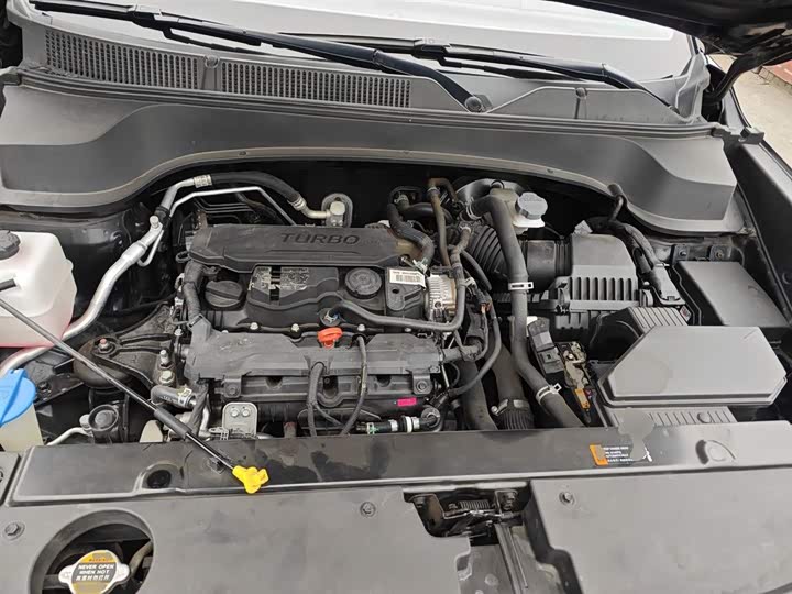 Kia Sportage GT-line 2021 2021款 Ace 1.5T GT Line 超能版