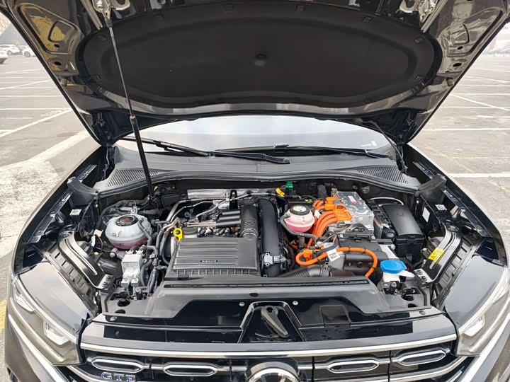 Volkswagen Tayron GTE Hybrid 2022 2022款 1.4T 豪华型