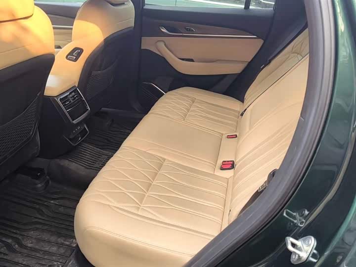 Geely Monjaro 2025 2025款 东方曜 2.0TD 自动四驱望月版