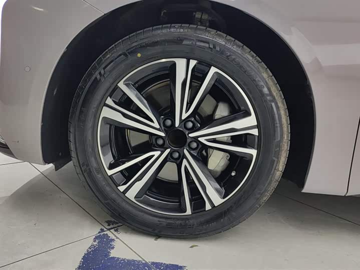 Hongqi EH7 2024 2024款 690 Pro