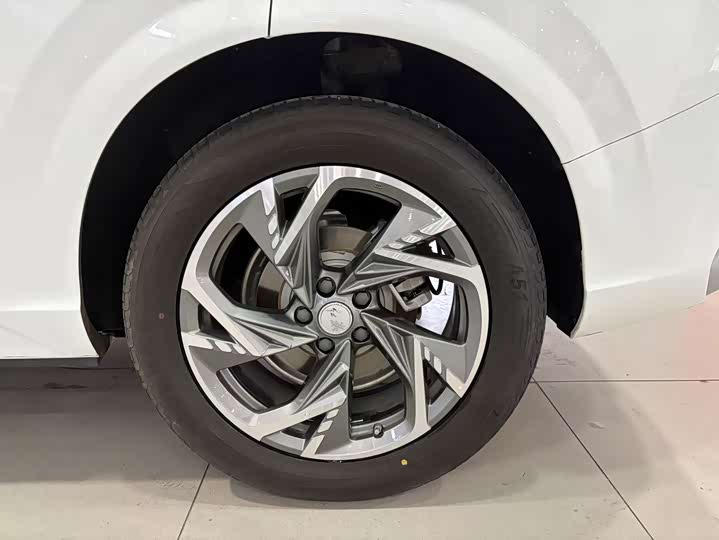 Hongqi HS3 2024 2024款 1.5T 善为版