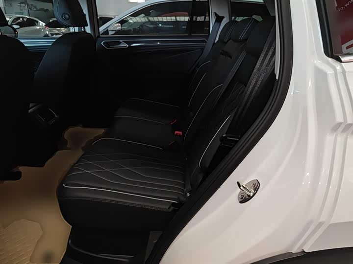 Volkswagen Tiguan L Pro 2025 2025款 出众款 300TSI 自动两驱龙腾版