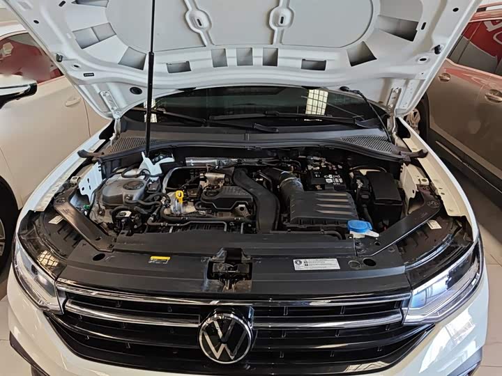 Volkswagen Tiguan L Pro 2025 2025款 出众款 300TSI 自动两驱龙腾版