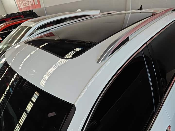 Volkswagen Tiguan L Pro 2025 2025款 出众款 300TSI 自动两驱龙腾版