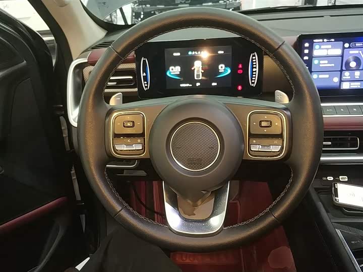 Great Wall Pao 2024 2024款 2.4T越野版自动柴油四驱高阶版