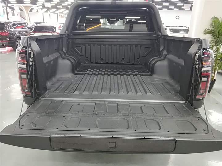 Great Wall Pao 2024 2024款 2.4T越野版自动柴油四驱高阶版