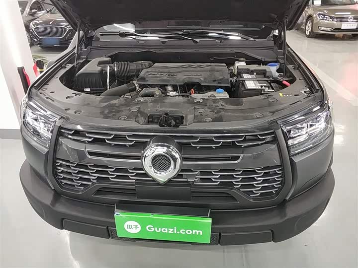 Great Wall Pao 2024 2024款 2.4T越野版自动柴油四驱高阶版