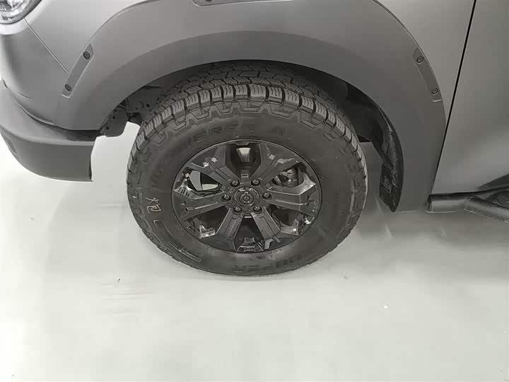 Great Wall Pao 2024 2024款 2.4T越野版自动柴油四驱高阶版