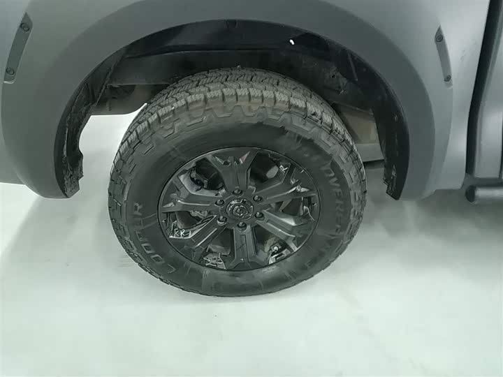 Great Wall Pao 2024 2024款 2.4T越野版自动柴油四驱高阶版