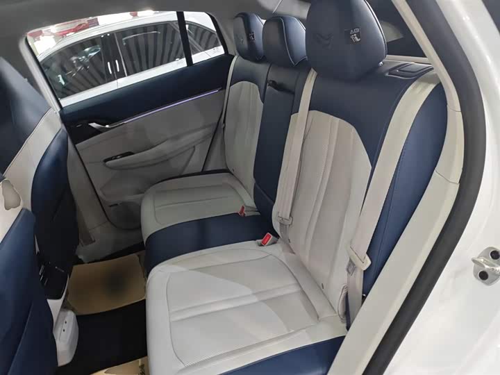 Roewe Whale 2022 2022款 2.0T 虎鲸版